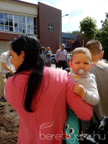 Életfát ültettünk 23